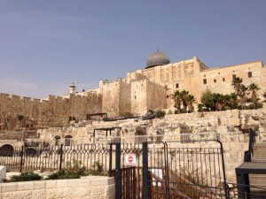 A7C0B1B3-ACFF-47AB-B4A5-719F609D491Ciphone_photo