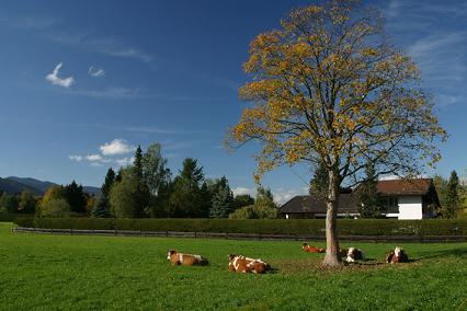 ドイツ１031011-220111