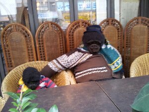 20140327_154614.jpg image