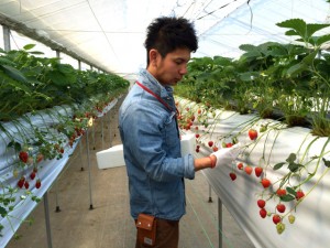 IMG_ichigo yokkaichi