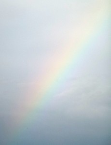 P1040275 - コピー