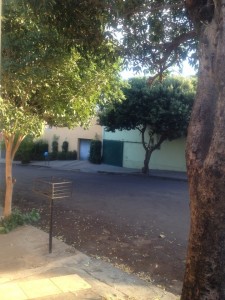 o0720096012525980062