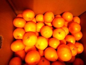 11%e6%9c%8828%e6%97%a5%e3%81%bf%e3%81%8b%e3%82%93