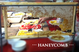 3D24AFDC-EE36-4A04-8F1D-42A526DAB67B165