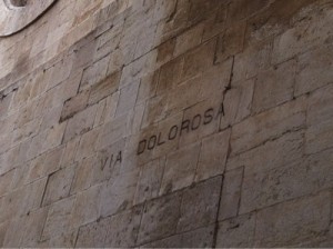 7EF5868A-47EB-41B3-82BF-A28A1146B40951