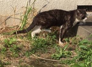 20170328-  090648.jpg