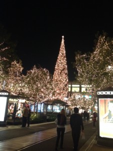 写真 2-1 のコピー 3