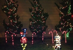 写真 1 のコピー 2