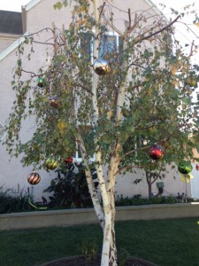 写真 3 のコピー