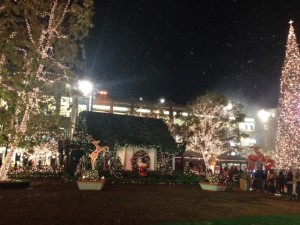 写真 3 のコピー