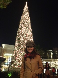 写真 4 のコピー