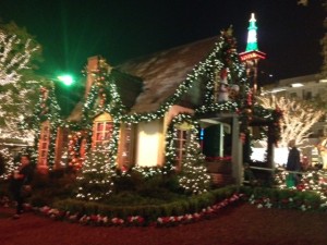 写真 1-1 のコピー