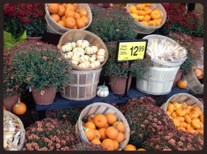 写真-3 のコピー