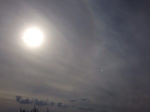 4CD6E932-9F60-4957-BAA6-E8CB51BCD5B6iphone_photo