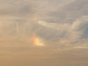 8E336294-010E-483E-8218-2D468BE07618iphone_photo