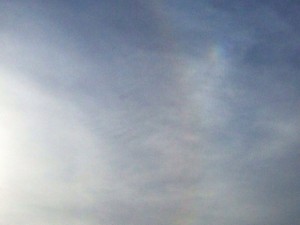 8E82A8DD-D8B5-4C7A-8065-42B73F04DB19iphone_photo