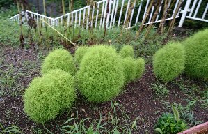 _20160818_165837.JPG image