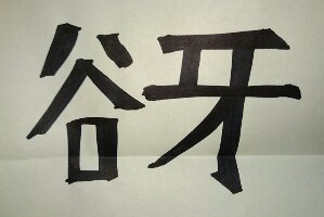 _20160827_220342.JPG image