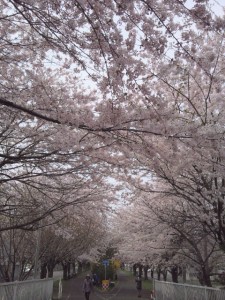 150428_120026