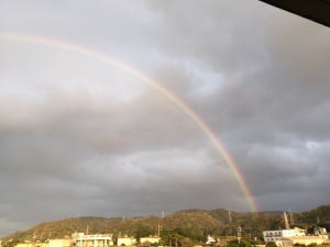 IMG_0108.jpg-1