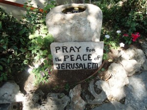 o0691051812692159097