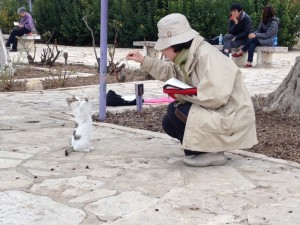 鈴谷牧師と猫オリブ山