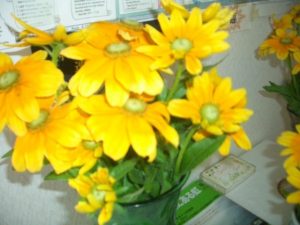 6月18日福本さんのプレイディーサンというお花を持って親子が