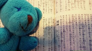 _20170608_151701.JPG image