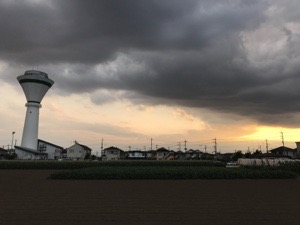 20170613-144658.jpg