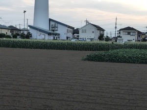20170613-144707.jpg