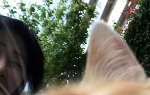 20170613-145241.jpg