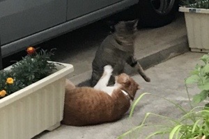 20170613-145443.jpg
