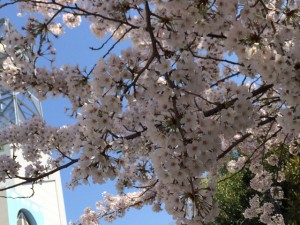 9546EC93-4EE0-4A2C-9614-2E6D438A5FB01427772650.005931