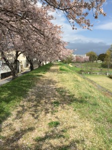 9D9F9563-FD8C-436F-859E-82B34F02F71Diphone_photo