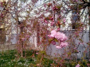 IMG_20150414_153325_1