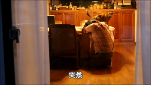 スナップショット 1 (2016-02-20 15-56)